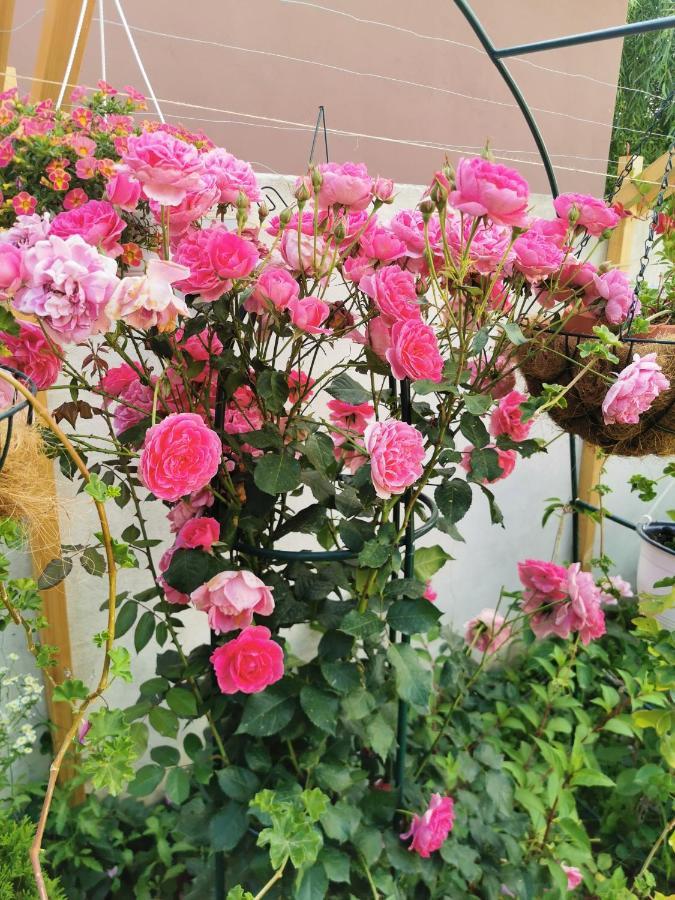 Circea Dnt House &Spa מראה חיצוני תמונה