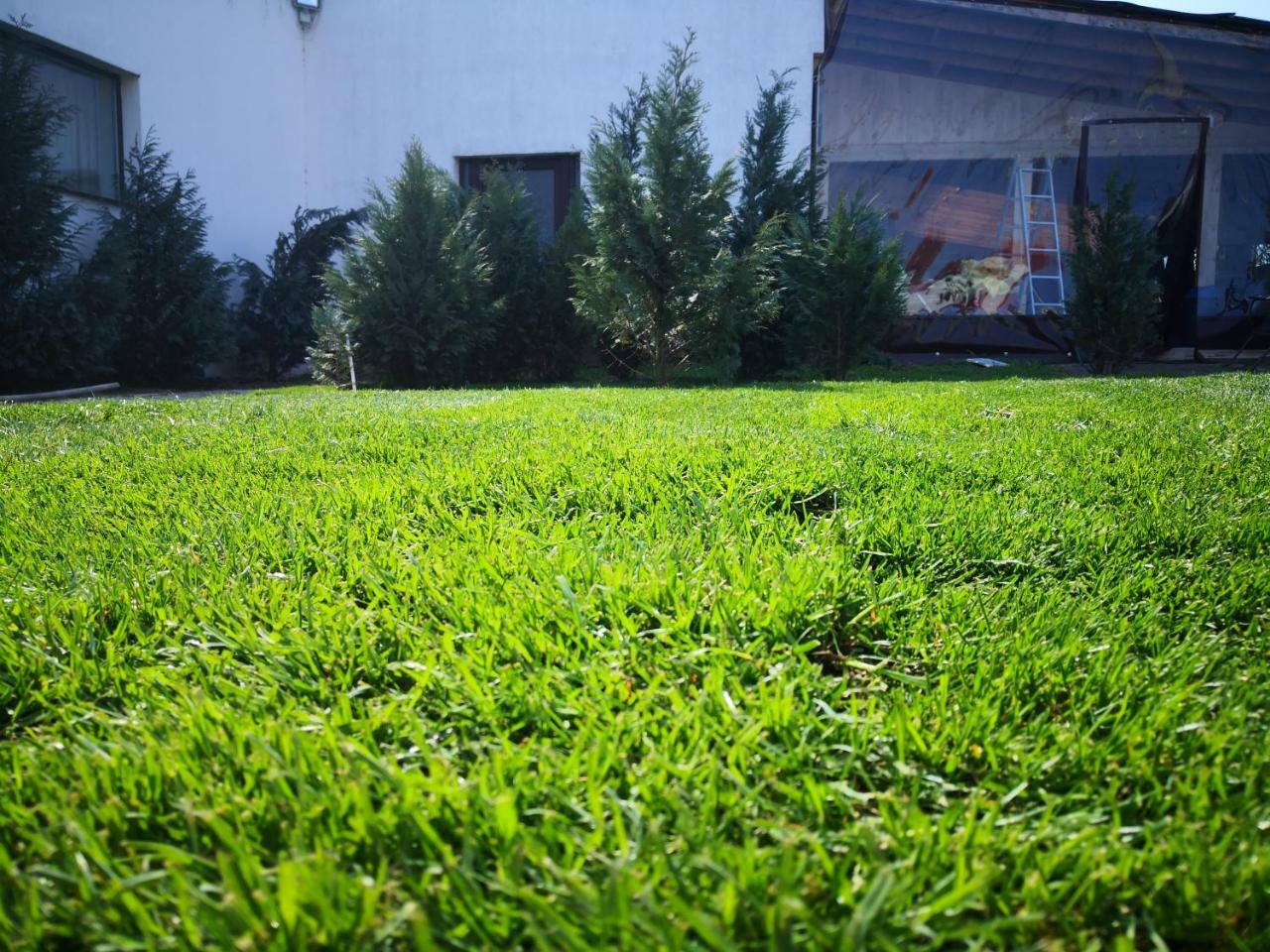 Circea Dnt House &Spa מראה חיצוני תמונה